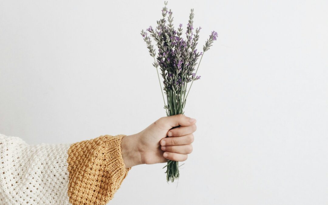 Mungkinkah Menanam Lavender di Rumah dengan Sukses