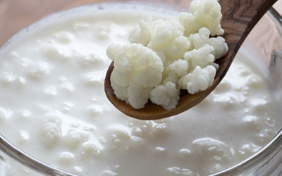 Apakah Bisnis Kefir Bisa Bersaing di Tahun 2026?