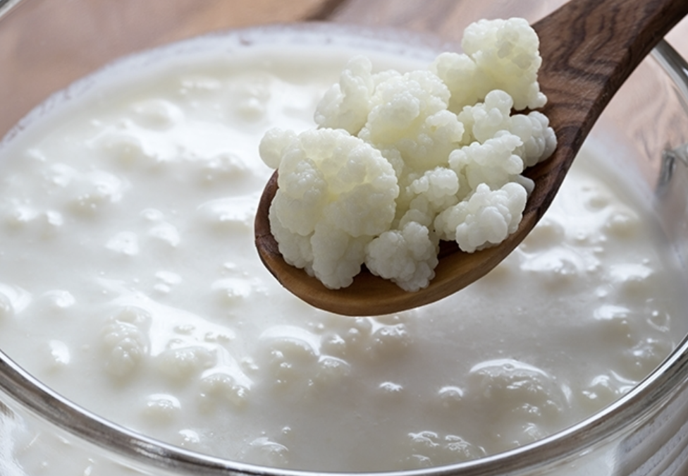 Apakah Bisnis Kefir Bisa Bersaing di Tahun 2026?