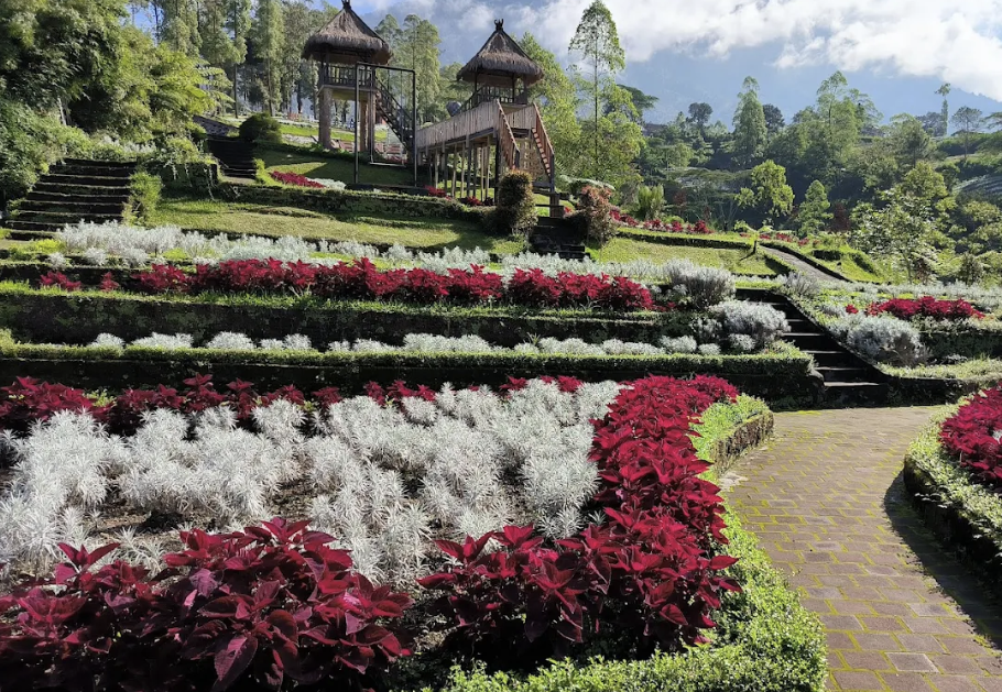 Rahasia Merawat Edelweiss Jawa di Penangkaran